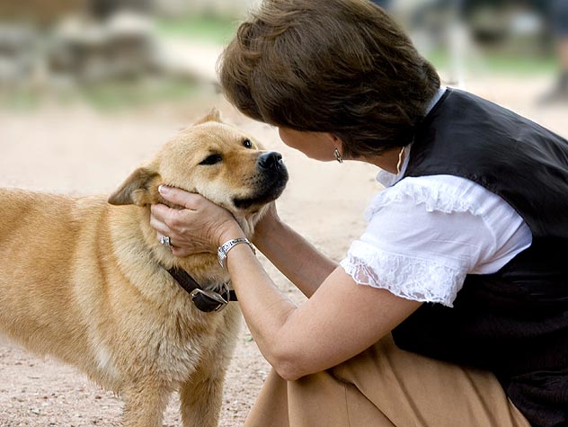 what do dogs hear when we talk