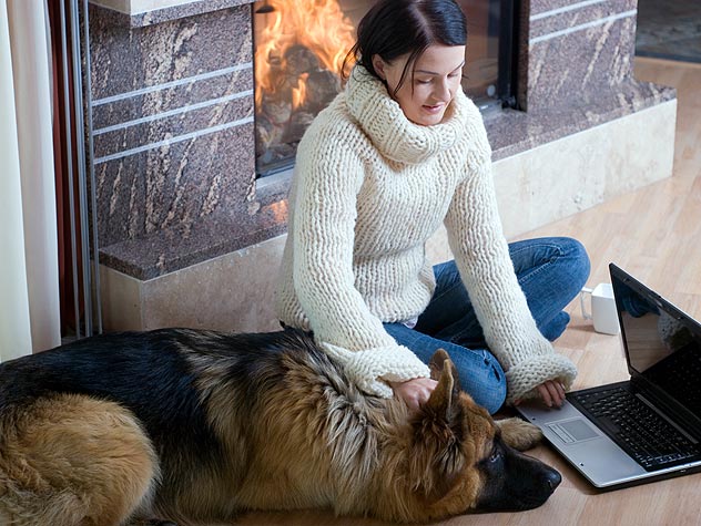 eight ways to discover the perfect pet sitter online petfinder looking for a pet sitter