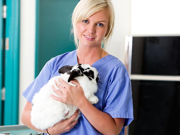 A Guide for Youth Who Love Animals | Petfinder