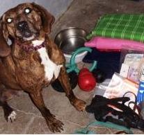 Britta with her disaster kit