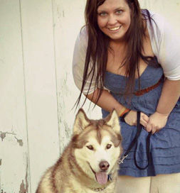dog-adoption-husky-yukon-marinelli Yukon, an adoptable Husky