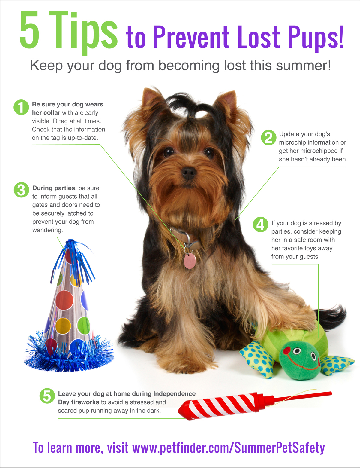 Summer pet care tips – Problems and remedies for pets in this summer advise Summer pet care tips – Problems and remedies for pets in this summer forecast