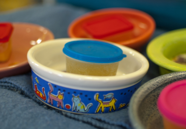 pupsicle container in pet dish