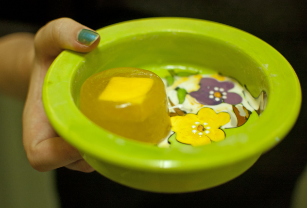 pupsicle inside pet dish