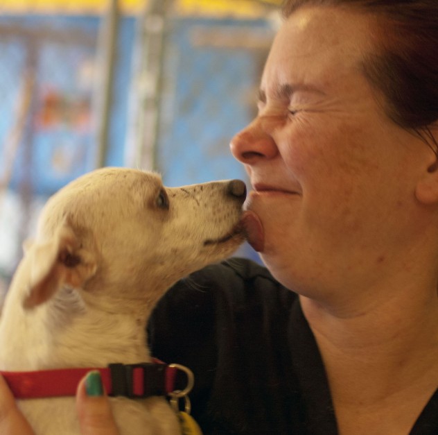 pupsicle-recipe-dog-AZ236-22359210-4 Nicky Kisses