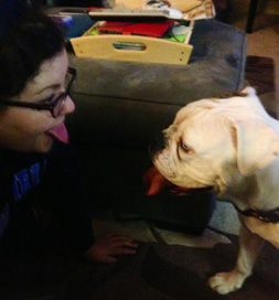 dog-adoption-bulldog-bluebelle-balz bulldog and woman sticking their tongues out