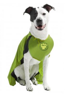 Lucky the TurfMutt