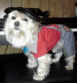 Shiloh loves to don costumes for all occasions.