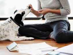Thinkstock