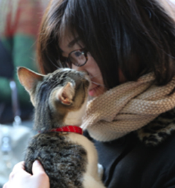 A shelter cat gets some cuddles.
