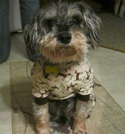 Theodore’s special needs are mitigated by his family’s loving care and concern.