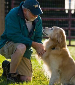 Can An Old Dog Learn New Tricks?