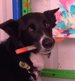 Brody prepares to work on a painting.