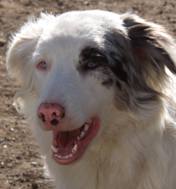 Theresina wears a big smile that matches her personality.