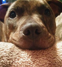 Harper's eyes won her a home.
