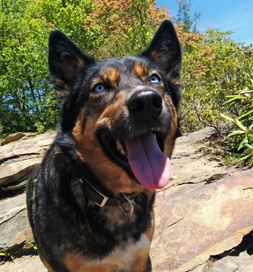 Dakota loves being out on the trail for a hike.
