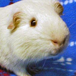 Tater shows his curiosity.