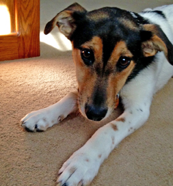 Madi brings a smile to the faces of everyone who meets her.