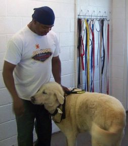 The Humane Society of Wichita County in Texas was able to reunite this dog with his owner after floods forced area residents to evacuate.
