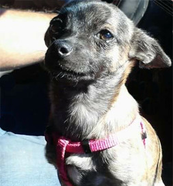 Bella loves to travel.