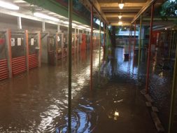Flooded kennels at Austin Pets Alive!