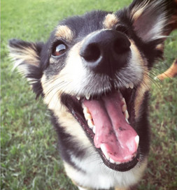 Oakley shows her enthusiasm for life.