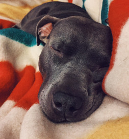 A little snooze is always refreshing.