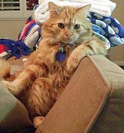 Winky seems to ask, “Who’s in charge here?”