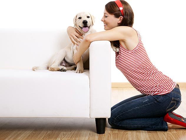 girl petting dog on couch